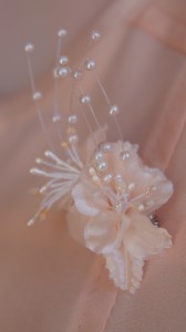 SONY DSC